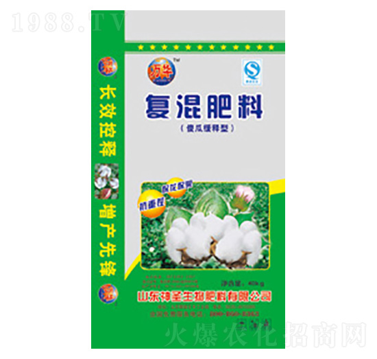 �޻����þ���͏ͻ����-��ʥ����