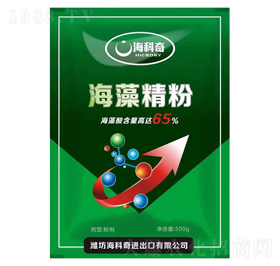 ���徫��-������