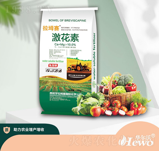 20kg������-��ķ��-�A����