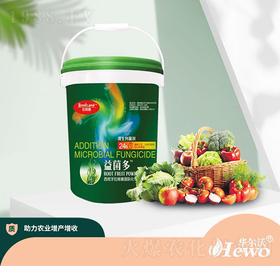 �����-��ķ��-�A����