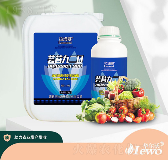 �|̦920-����ِ-�A����