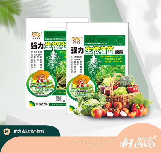 ������������ԭ��-�A����