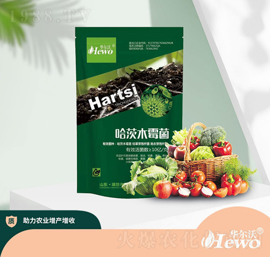 ����ľù��-�A����