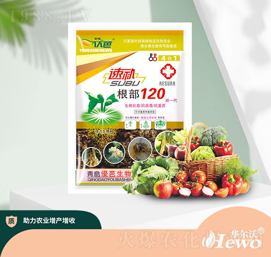 ���a����120-�A����