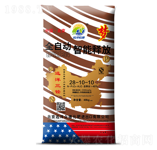 ����ጷœ������28-10-10-�h�󱊵�