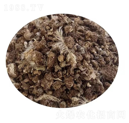 �����u�S-�؝��ЙC(j��)��