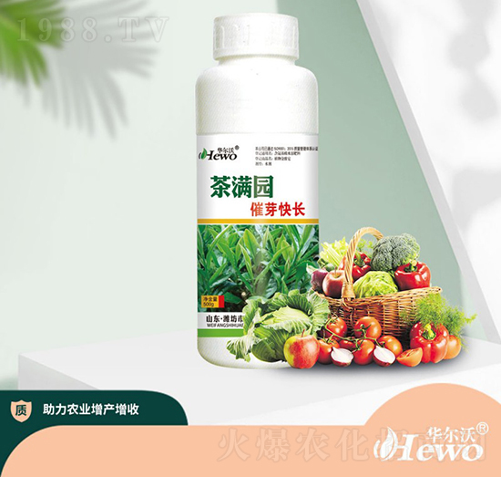 ��M�@��ѿ���L(zh��ng)-�A����