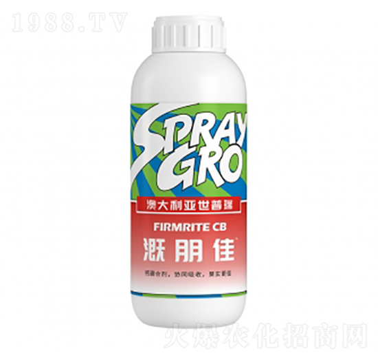 �����-�����ط�