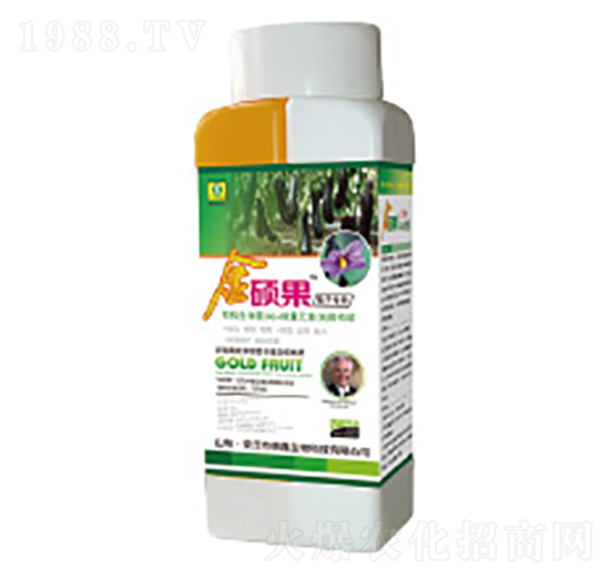 ���ӌ��ý�T���~���-��������