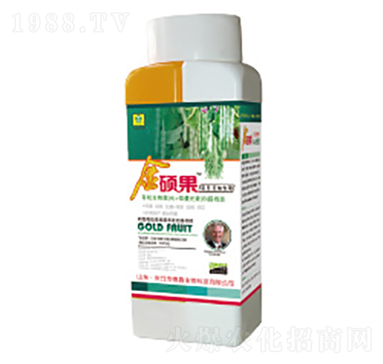 ���ǌ��ý�T���~���-��������