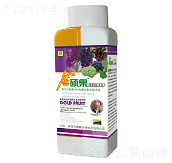 ���ь��ý�T���~���-��������