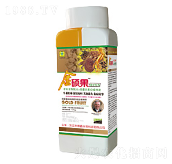 ��������ý�T���~���-��������