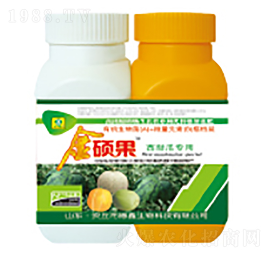 ����ό����~���-��T��-��������