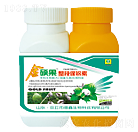 �޻������-��T��-��������