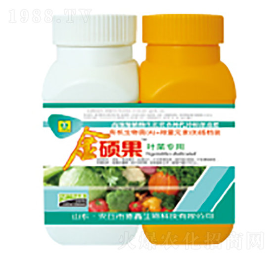 �~�ˌ����~���-��T��-��������