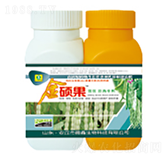 �|�����ǌ�(zhu��n)���~���-��T��-��������