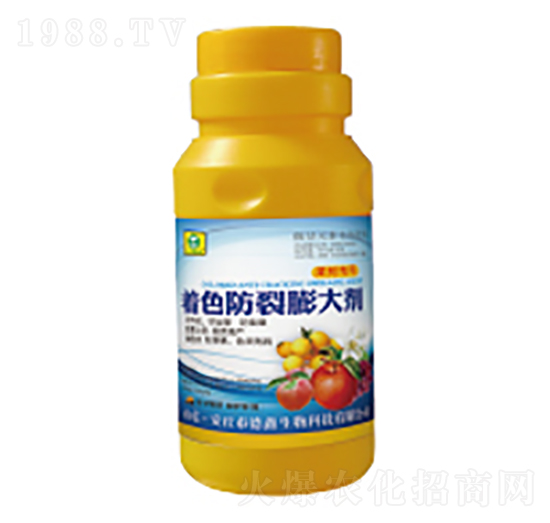 ��ɫ�������-��������