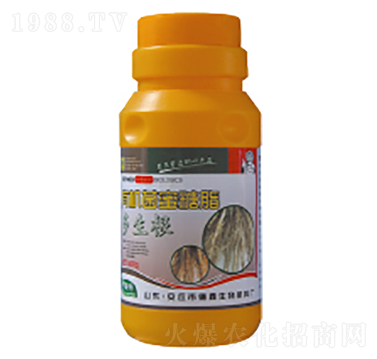 �ЙC������֬-������-��������