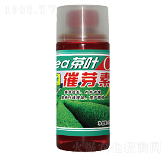 ���~��ѿ��-��������