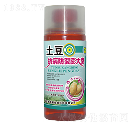 �����������������-��������