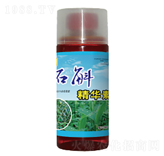 ʯ�����A��-��������