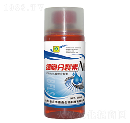 ����������-��������