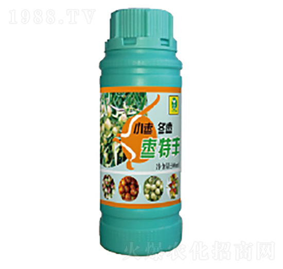 С�����������~���-�����`-��������