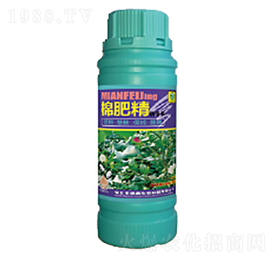 �޷ʾ�-��������