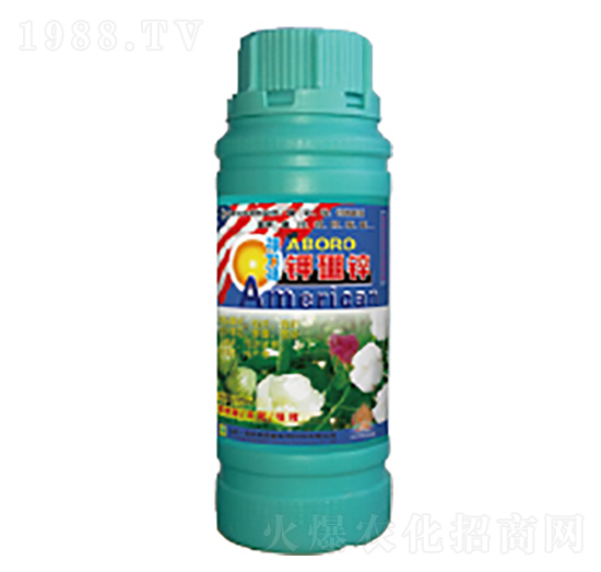 ����\-��������