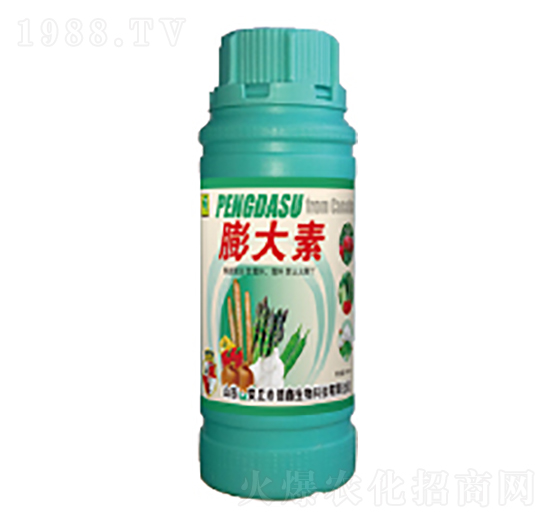 �����-��������