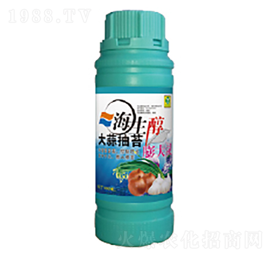 �����̦����`-��������