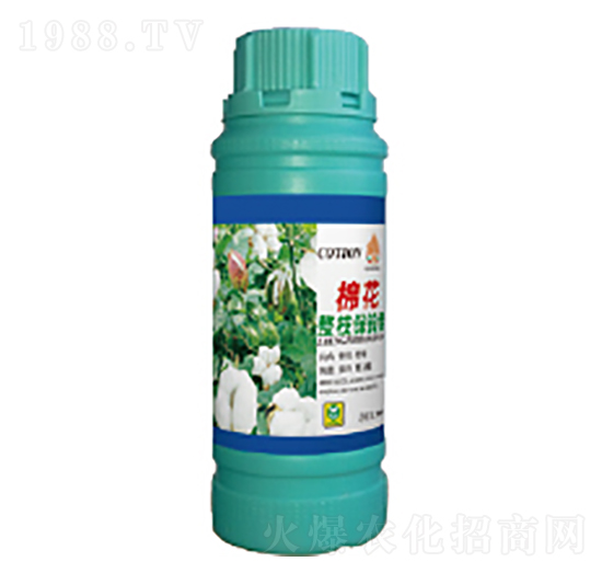 �޻���֦�����-��������