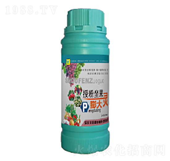 �ڷ���������`-��������