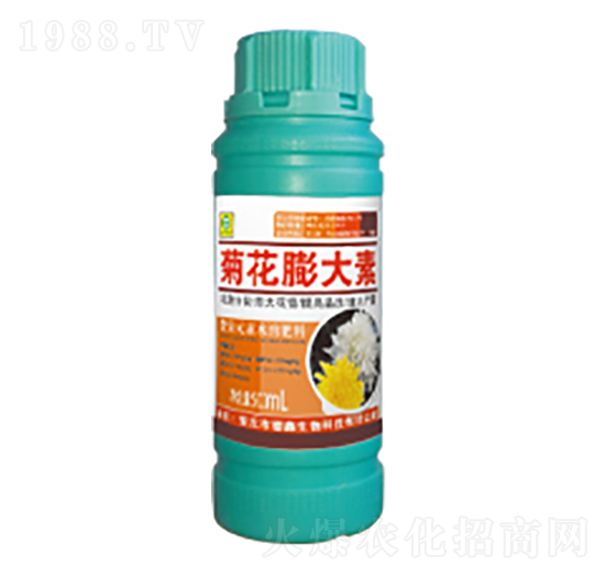 �ջ������-��������