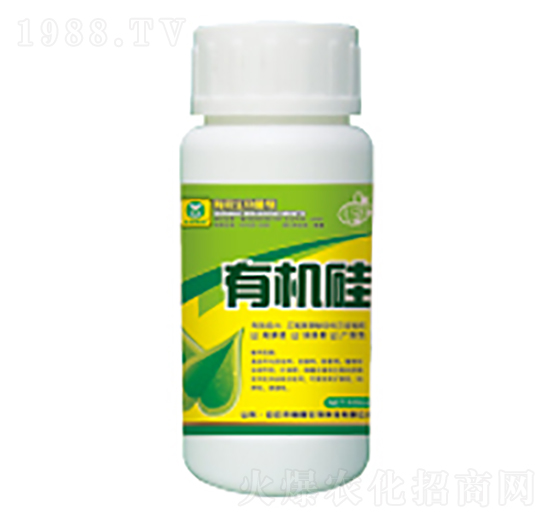 �ЙC(j��)��-��������