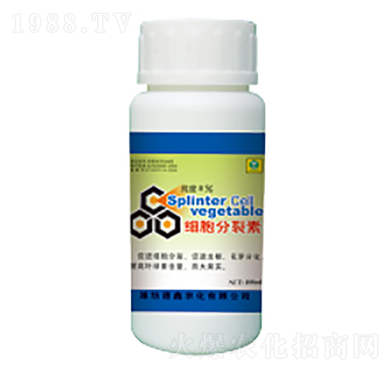 100ml��(x��)��������-��������