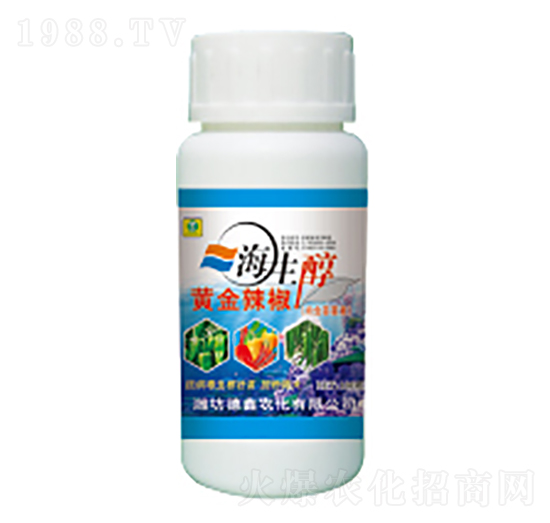 �S���������S��-��������