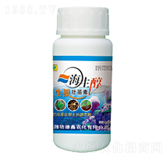 ����������-���S��-��������