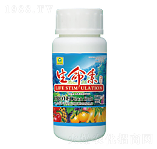 ������-��������