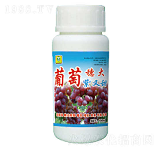 ����������ּt-��������