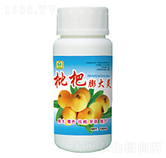 ���������-��������