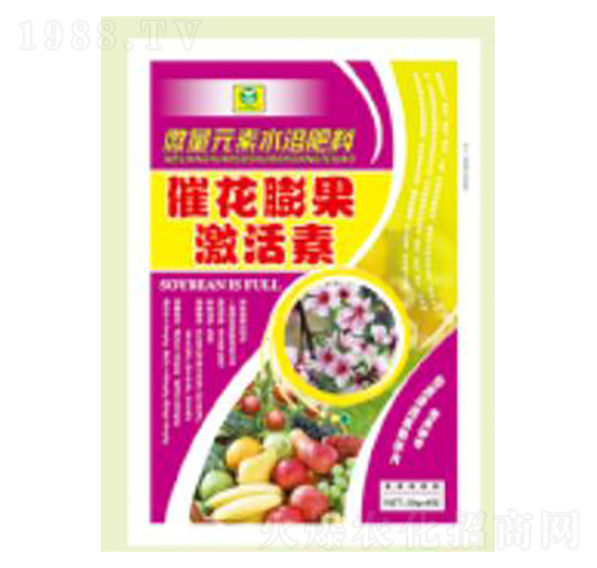 �߻����������-��������