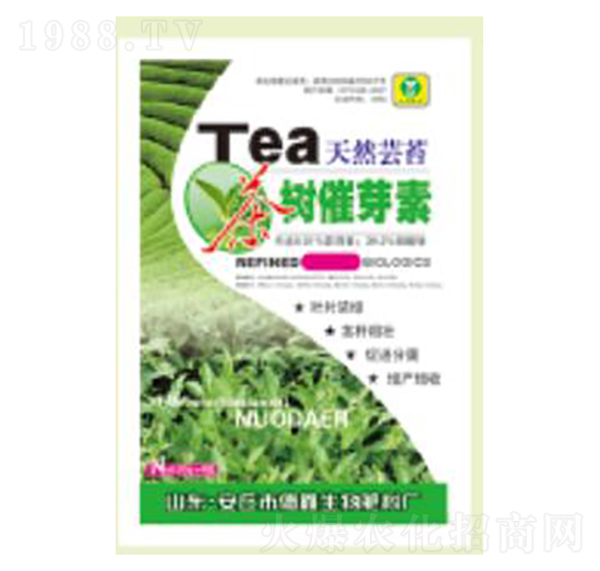 ����ѿ��25g-��������