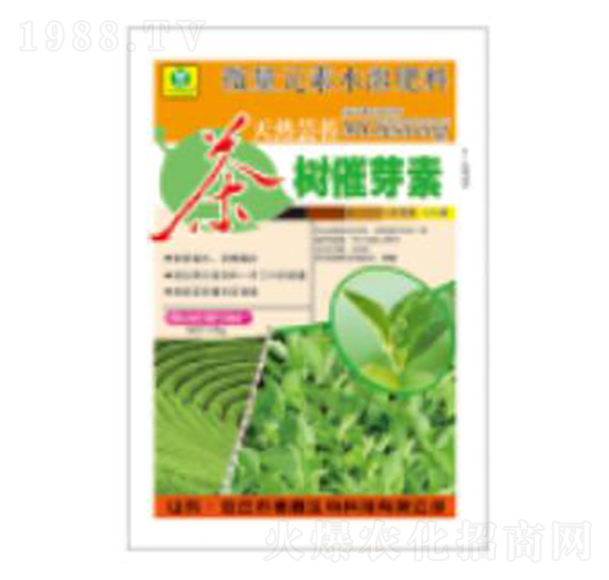 25g����ѿ��-��������