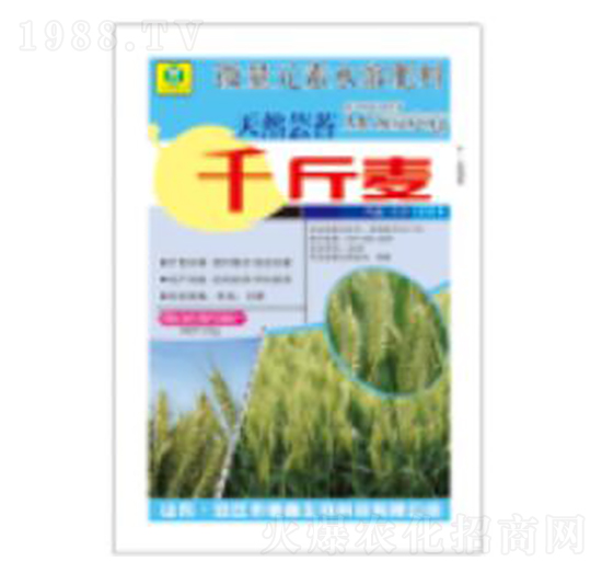 ǧ����-��������