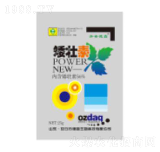 25g������-��������