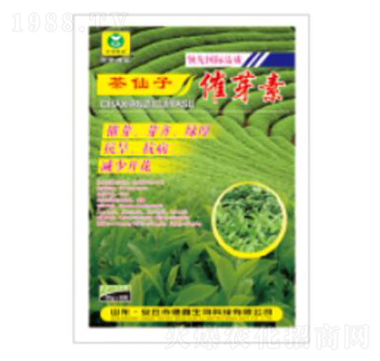 ��ѿ��-��������