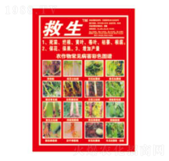 ����-��������