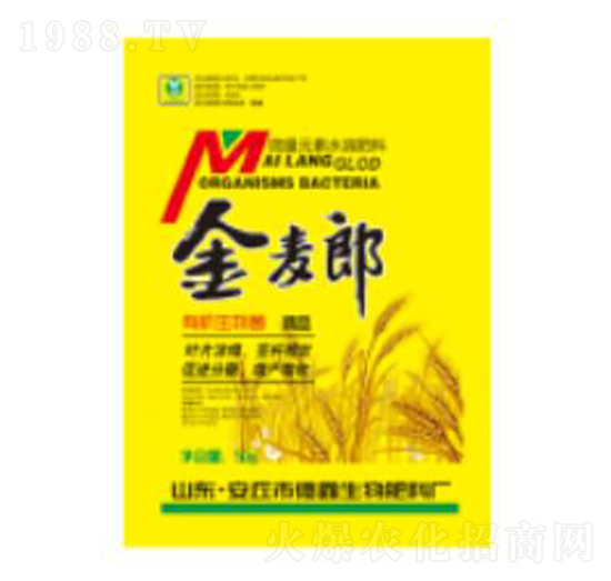 ������-��������