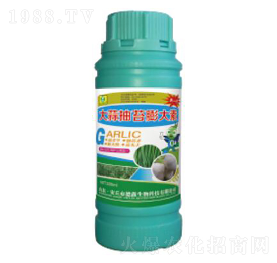 �����̦�����-��������